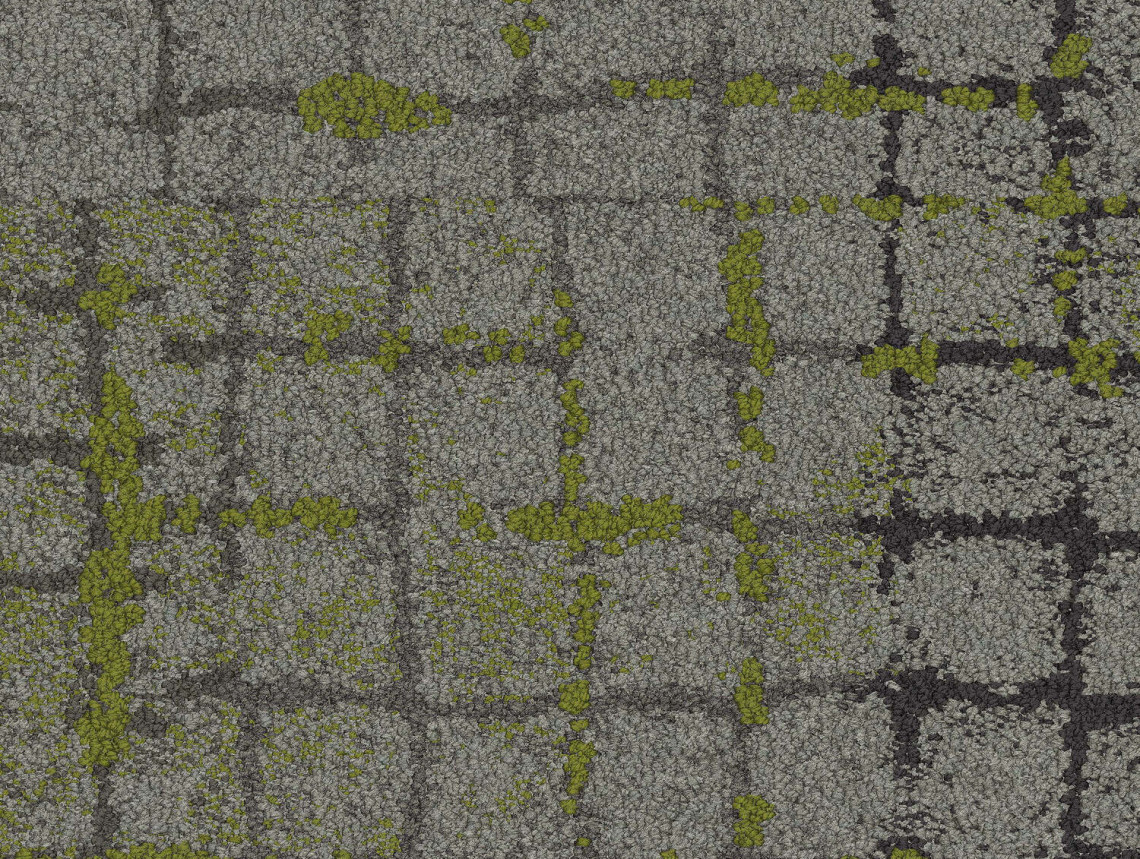 Moss In Stone - 105565 Slate Edge